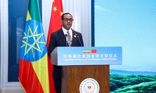 埃塞俄比亚大使点赞中国零关税政策“为埃塞带来广阔机遇”（中新网）